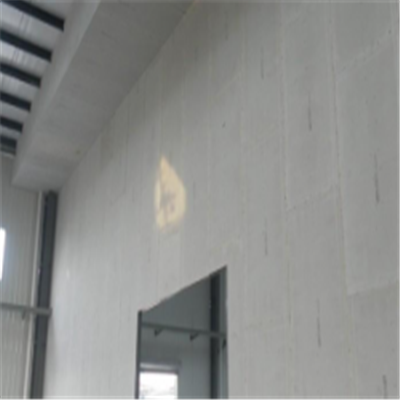 长安宁波ALC板|EPS加气板隔墙与混凝土整浇联接的实验研讨